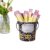 Equity Sticks for Classroom Educational Label with Metal Bucket Holder