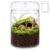 EVERJOYCRAFT Glass Terrarium Jar with Dome Lid Glass Terrarium Containers for Plants Planter Terrariums for Succulents Moss Home Decor for Tabletop Gift for Plant Lovers – 5.9″x9.1″