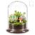 EVERJOYCRAFT Mini Glass Terrarium Kit 4.7″x6.3″ Glass Dome Cloche with Base and Air Hole Plant Terrarium Clear Display Case for Carnivorous Plant Moss Home Decor for Tabletop