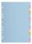 Exacompta 20 dividers pastel card Forever 20 blank tabs A4