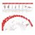 Exercise Deck Of Cards, Portable Fitness Cards Guide,Training Exercises Guide | for Women Men Beginners Home Gym Outdoor Activities