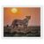 Exquisite Diamond Painting DIY 5D Diamond Art Kits for Adults Beginners