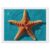 Exquisite Diamond Painting DIY 5D Diamond Art Kits for Adults Beginners