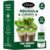 EZ-GRO Arugula Seed Pod Kit (6-Pod) | Pre-Seeded Hydroponics Seeds Pods with Oasis® Sponges for All Hydroponics Growing System | No Assembly Required | 35+ Seeds Pod Collections