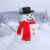Fabater Outdoor Snowman Decoration, Reusable Non Woven Felt Plastic Wood Materials Child Safe Ages 3 Christmas Decorations Kit, Snowman Building Kit with Complete Accessories Set for (Black&red)