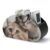 FekiLoot Cats TV Remote Control Holder with 5 Compartments