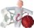 Female Childbirth Model for Midwifery Training, Separable Baby & Pelvis, Includes Umbilical Cord & Placenta for Gynecology Education, Life Size Teaching Aid