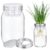 Ferrochef Seed Sprouting Set Green Onion Regrower Kit Includes Regrower Sprouting Lids and a Mouth Mason Jar for Sustainable Windowsill Gardens and Hydroponics for Growing Broccoli and Beans (White)