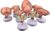 Fetus Development Model, Embryonic Development Model Set
