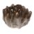 FewNvWa 100 Pieces Chicken Feathers Trim Fringe Ribbon Feather Trims Spotted Feathers Craft Feathers Soft Dyed Border for and Hemming Work Suitable for, Brown