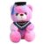 FIbpuzc 2026, Name & School Embroidered Grad Class of 2026 Bear Plush, Graduation Stuffed Animal for and Adults Kindergarten Adorable Bear Gift