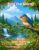 Find the Worm!: Birds: Seek and Find (Seek and Find Coloring Books for Ages 2-3)