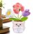 Finished Knitted Plant Flower Teacher Appreciation Desk with Card