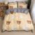 Flannel Four-Piece Winter Thick Warm Quilt Cover Sheet Pillowcase Cartoon Printing – Soft 100% (Color : F Size : King) (E King)