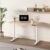 FLEXISPOT Electric Height Adjustable Kids Desk, Motorized Sit Stand Study Table for Children Ages 3-10, Ergonomic Childrens Desk with 48 x 24 Inch White Desktop, 154 lbs Capacity
