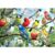 Flowers Birds 1000 Piece Puzzle for Adults Unique Puzzles for Adults 1000 Pieces Hummingbird Jigsaw Puzzles 1000 Pieces Family Challenging Puzzle (27.5″x19.6″)