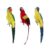 Fonowx Artificial Parrot Bird Realistic Bird Feathered Birds Parrot Figure Lifelike Texture with and Feather Surface for Crafts and Displays