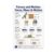 Forces and Motion Poster – Educational Physics Reference – 13×19