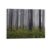 Forest Trees Woods on Canvas Framed Farmhouse Posters Pictures Ready to Hang Artwork Wall Art for Dining Room Apartment Home Decorations 11″x14″
