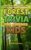 Forest Trivia for Curious Kids: All About Woodlands: Fun Trivia Questions, Intriguing Answers, and Fascinating Facts Across All Continents (Kids Trivia Books)
