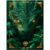 Foroni Hardcover Drakos 80 Sheets Paperback Notebook Kit 5 Pack