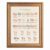 Framed Canvas Wall Art Boho Minimalist Animal Alphabet Earth Tone ABC Chart Canvas Print Poster Gold Frame Wall Decor for Kids Nursery Educational Art, Playroom Decor – Inch 12×16