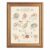 Framed Canvas Wall Art Whimsical Seashell Chart Sage and Terracotta Canvas Print Poster Gold Frame Wall Decor for Nursery Kids Room Coastal Art, Educational Decor – Inch 24×36