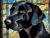 Fun Jigsaw Puzzle 1000 Pieces for Adults Black Labrador Full Round Drill 5D by Number Stained Glass Style Crystal Mosaic Painting Rhinestone Embroidery Craft Kits for Decor 29.5 x 20 in