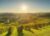 Fun Jigsaw Puzzle 1000 Pieces for Adults Panoramic View Countryside and Vineyards from for Toddler Learning Educational 29.5 x 20 in