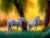 Fun Jigsaw Puzzle 1000 Pieces for Adults Willow White Horses Diamond Art Kit by Numbers,Horse,5D Round Gems Embroidery Diamond Art Gift 29.5 x 20 in