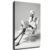 Funny ostrich Art Black and White Feather Vogue Magazine Wall Decor Poster Canvas Wall Art Framed (12×18inch_Framed)
