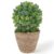 Funzhan Small Potted Topiary Ball & Woven Basket Set, 6.9 Inch Artificial Frosted Green Mound Plant Faux Succulent Thyme Bush for Desk, Shelf, Bathroom & Indoor Home Office Decor