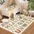 FUYEUN ABC Kids Playroom Rug 3×5, Educational Classroom Colorful Education Rug with ABC