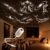 Galaxy Projector Night Light, USB 2-in-1 Projector with HD Discs (6slides)