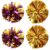 GALPADA 4pcs Cheerleader Pom Poms for Dancing Match and Cheering, Reusable Pet Material with Visual and Tactile Stimulation, Lightweight Spirit Accessories