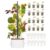 Gardyn Studio 1 Vertical Hydroponics Growing System Kit – 16 Non-GMO Plants, Herbs, Vegetables – Tower Garden – Hydroponic Herb Garden Planter Indoor Kit – Indoor Gardening System with LED Grow Lights