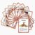 Geography Flash Card Set(15 Pcs)| Science Learning Cards Perfect for Back to School Supplies, Elementary Teacher/Autism Therapists Geology Tools | Geology Earthquake Gifts for Beginners