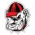 Georgia Bulldogs Magnet
