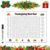 Giant Word Search Poster 35x24in, 50 Words Large Wall Puzzle Game