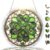 GIFTEVAL Lucky Clover Acrylic Suncatcher Puzzle St. Patrick Decor 7.4″