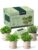 Gift for Women, Mom, Her – Berenda Select Indoor Garden Kit 18-Piece Windowsill Growing Set with 4 Pots, Soil Discs, Trimming Shears, Garden Tools & Markers for Growing Basil, Cilantro, Mint & More