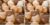 GOGOSO Bear Ball Pit Balls Shapes BPA Free Plastic Play Balls Crush Proof Kids Toddlers Baby Pastel Pelotas Toy Shaped Giant Friendship Bracelet, 2.15inch 100pcs, Brown Coffee Beige (Pack of 2)