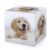 Golden Retriever Puppies Puzzle Cube 3×3 Speed Cube with Smooth Corner Rotating ABS Logic Cube Portable for Office Puzzles Stress Relief Leisure Game for Daily Use