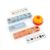 Gralara Animal Sorting Game Colorful Creatures Matching Game Cognitive Toy for Preschoolers, Playroom, Classroom