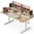 Grandder Electric Standing Desk with Two Drawers, Sit to Stand Up Height Adjustable Desk with Storage Shelf for Home Office, 63 * 24 Inch, Study, Ergonomic Adjustable Computer Desk, Oak