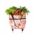 Grocery Bag with Wheels, Foldable Shopping Cart, Waterproof Grocery Tote