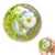 GWZTIO Coconut Oil Stress Ball, Coconut Oil Squishy with Crunchy Texture, Stress Relief Squeeze Tools for Office and Home Use, Oil Squishy Sensory Tool for People