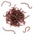 HaiFafafaing 50 Pcs Fake Worms Earthworm 3.15in Rubber Earthworms Trick Toys Halloween