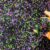 Halloween Sensory Bin Fillers for Kids with Colorful Rice | Spooky Sensory Play Kit | DIY Halloween Theme Activity Rice Mix for Imaginative & Pretend Play | Kids Gift & Party Favors