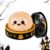Halloween Spooky Glitter Dumpling Squishies Toys with Steamer